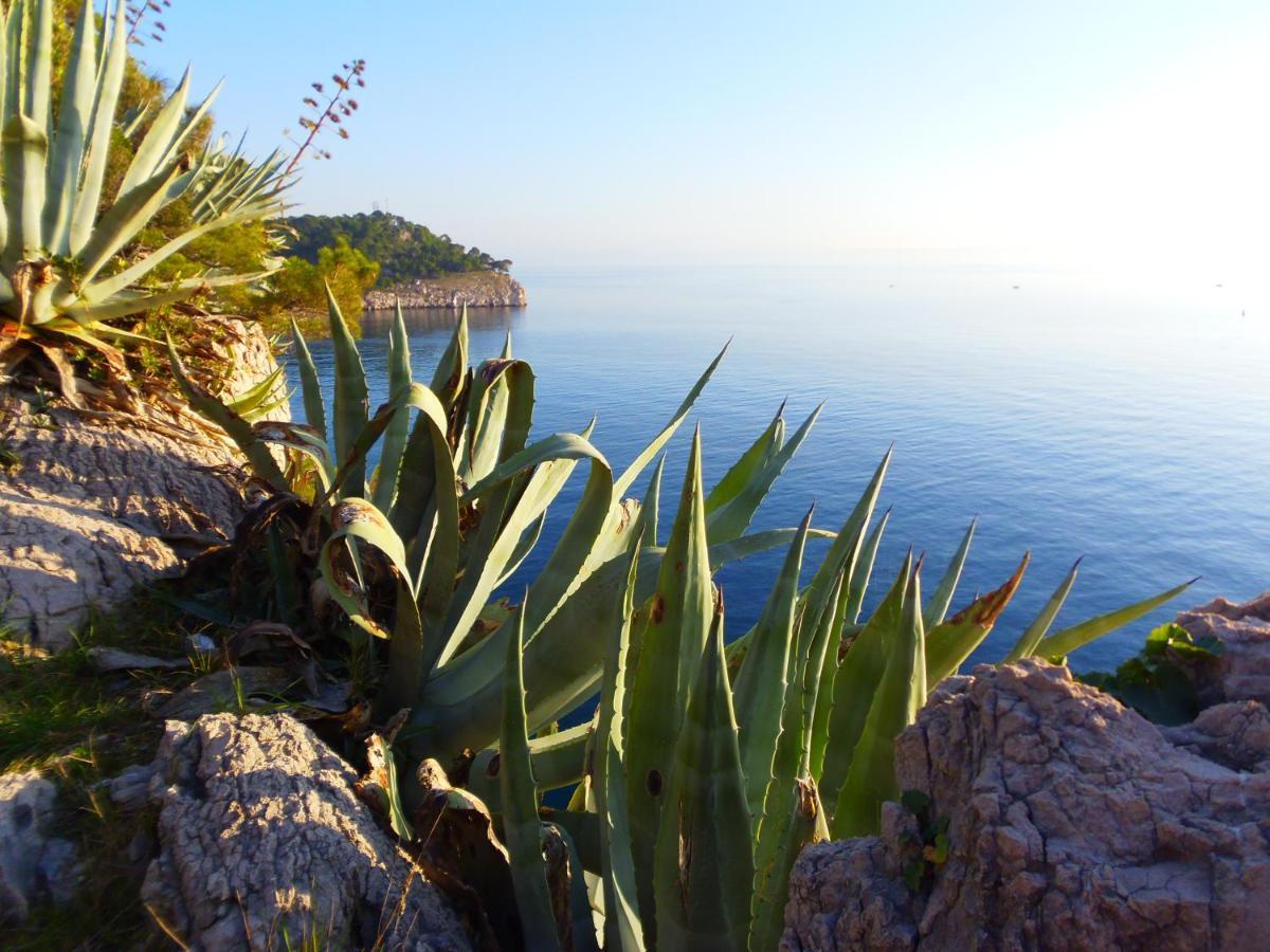 Apartment Burich Makarska Eksteriør bilde